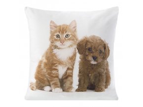 POVLAK NA POLŠTÁŘ ANIMAL FRIENDS 4